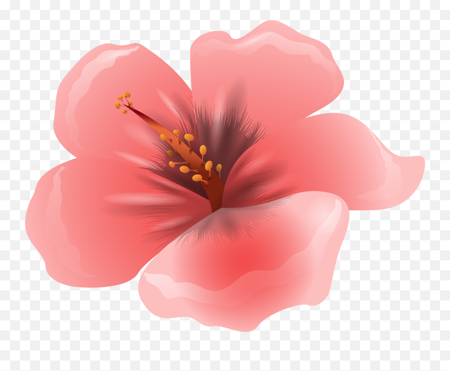 Library Of Pink Flower Picture - Clipart Flower Pink Png Emoji,Pink Flower Png