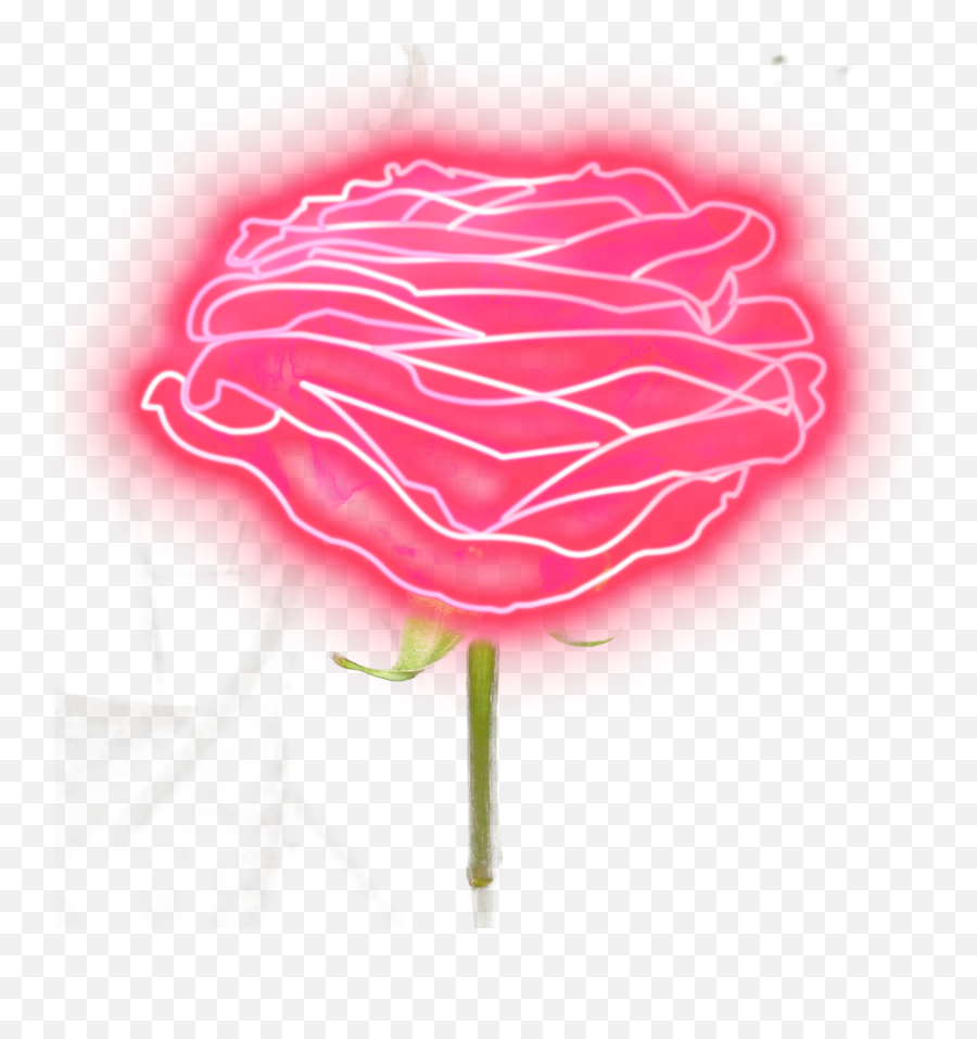 Neon Rose Png Clip Art Freeuse Library - Neon Pink Rose Png Pink Neon Flower Png Emoji,Pink Rose Png