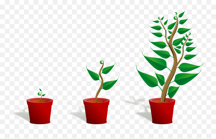 Getting To Know Plants Clipart - Full Size Clipart 2180993 Plants Grow Clipart Emoji,Plants Png