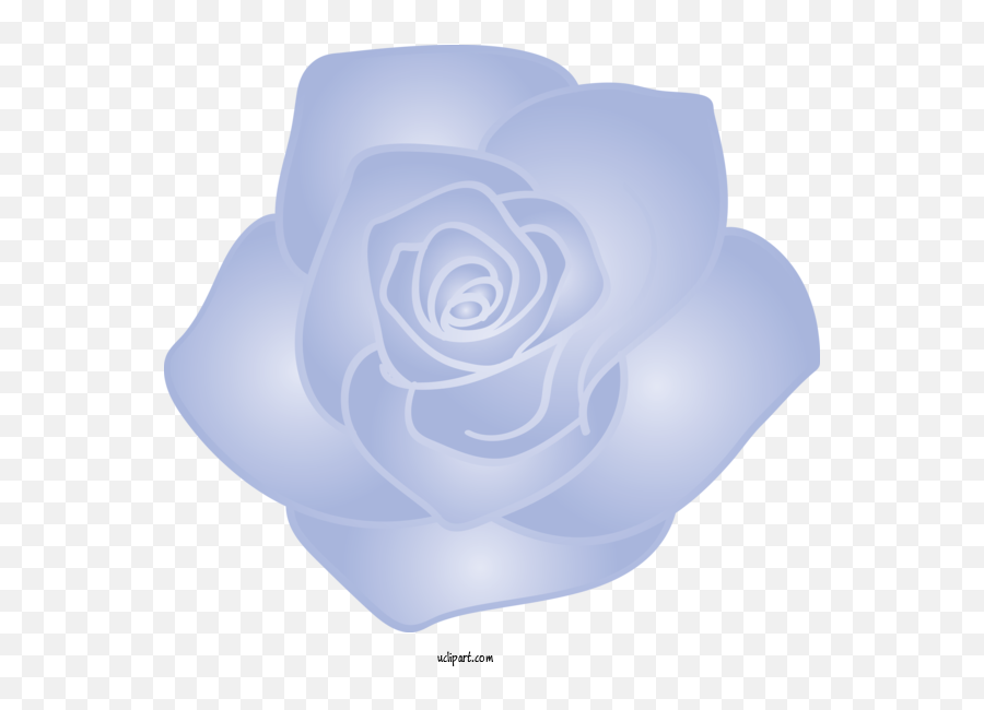 Flowers Blue Rose White For Rose - Rose Clipart Flowers Clip Art Emoji,White Rose Transparent Background