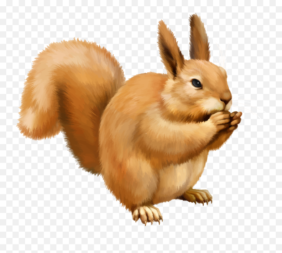 Squirrel Png Image - Transparent Background Clipart Of Squirrel Emoji,Squirrel Png