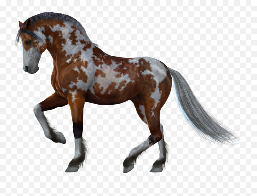 Horse Png Eohippus 1 - Horse White Background Emoji,Horse Png