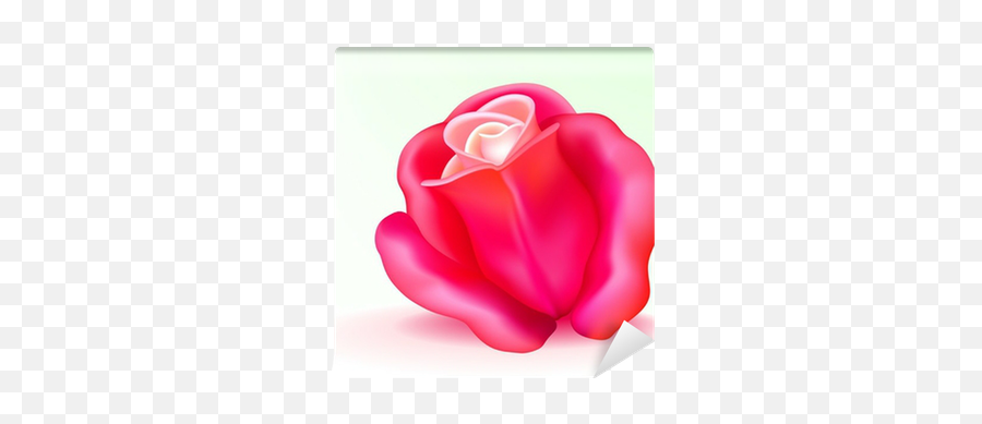 Vector Photo - Realistic Pink Rose Wall Mural U2022 Pixers We Live To Change Girly Emoji,Pink Rose Png