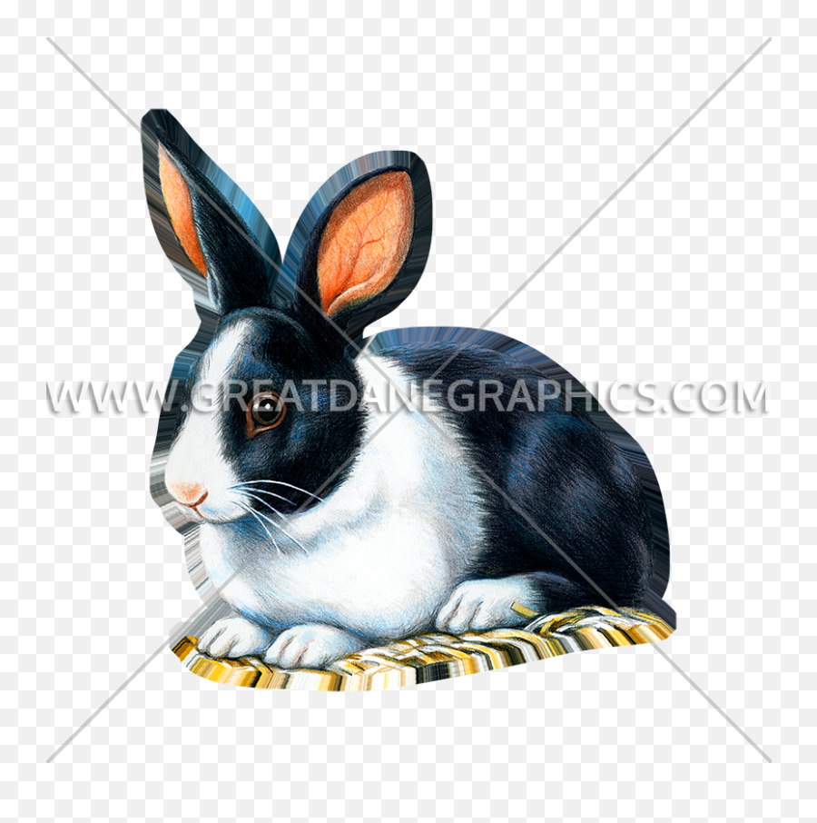 Black And White Rabbit - Domestic Rabbit Emoji,White Rabbit Png