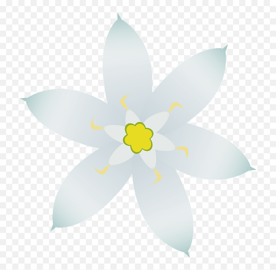 White Star Of Bethlehem Flower Clipart - Star Of Bethlehem Flower Clip Art Emoji,White Star Clipart