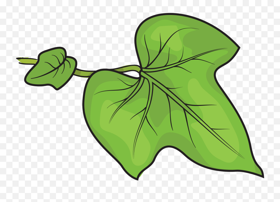 Morning Glory Leaf Clipart Free Download Transparent Png - Morning Glory Leaves Clipart Emoji,Morning Clipart