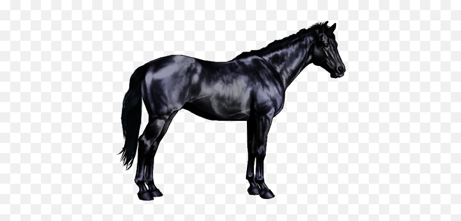 Black Horse Png Image Transparent Png Arts Emoji,Black Horse Clipart