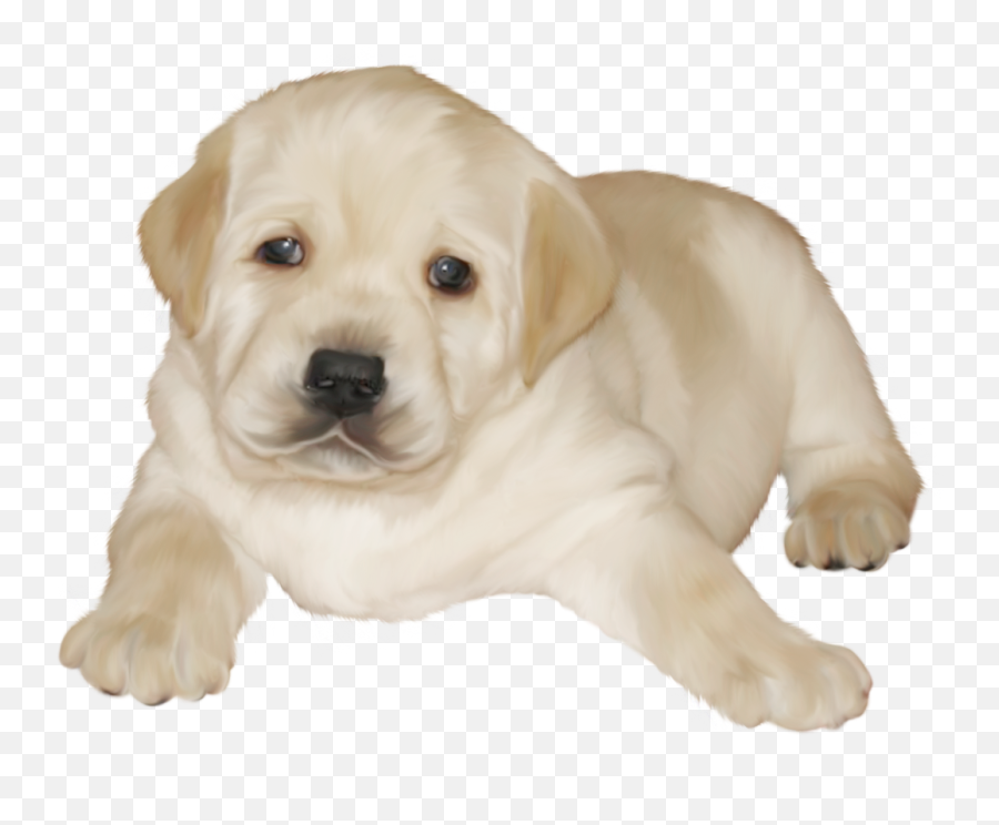 Labrador Retriever Background Png Clip Art Image Png Play Emoji,Labrador Retriever Clipart