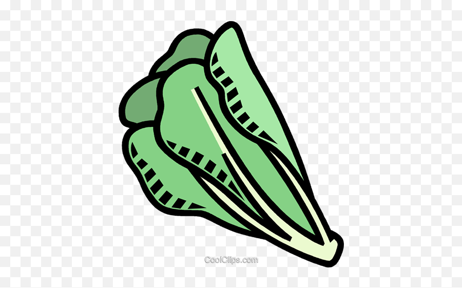 Romaine Lettuce Royalty Free Vector - Natural Foods Emoji,Lettuce Clipart