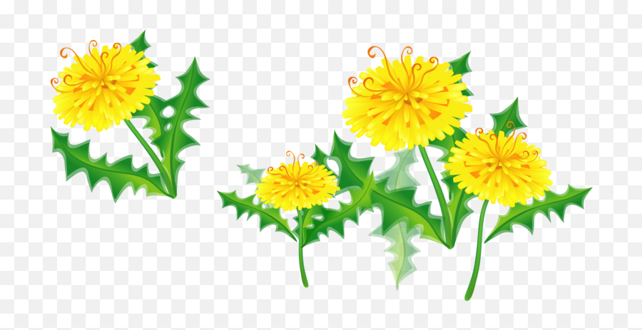 Dandelion Clipart Marigold Dandelion Marigold Transparent - Fresh Emoji,Dandelion Clipart