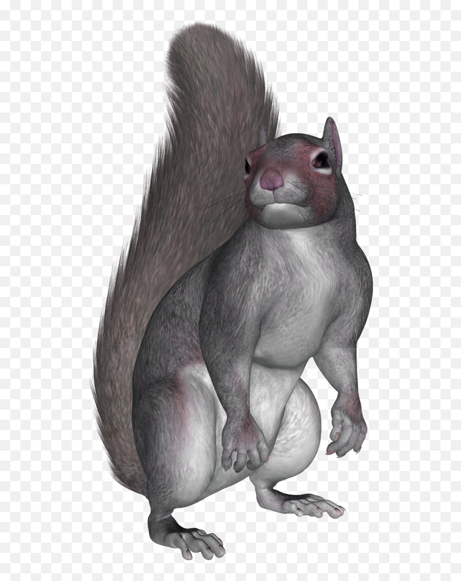 Download For Free Squirrel In High - Squirrel Png Meme Emoji,Squirrel Png