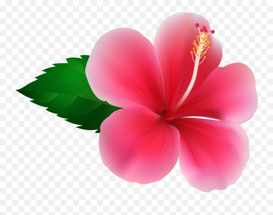 Library Of Free Hawaiian Flower Clipart - Hibiscus Png Clipart Emoji,Hawaiian Flower Clipart