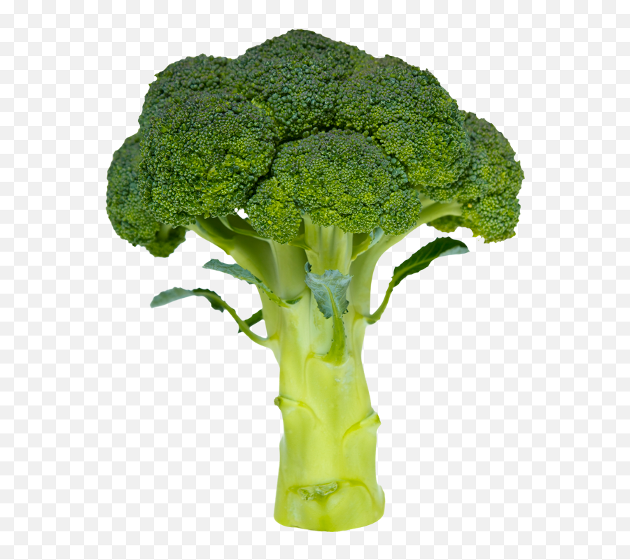 Broccoli - Broccoli Stick Emoji,Broccoli Png