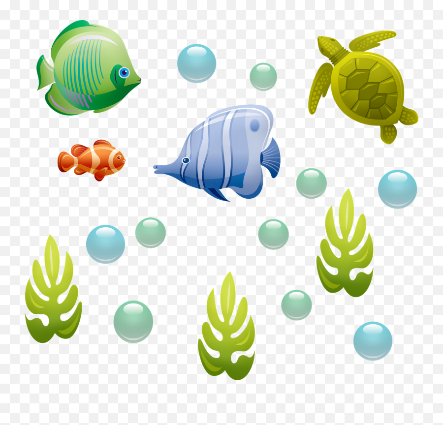 Underwater Fish Turtle - Gambar Ikan Dan Kura Kura Emoji,Underwater Bubbles Png