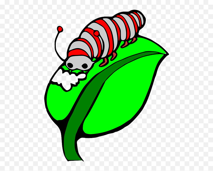 Caterpillar Eating Leaf Clip Art Png - Clipart Image Of Silkworm Emoji,Caterpillar Clipart