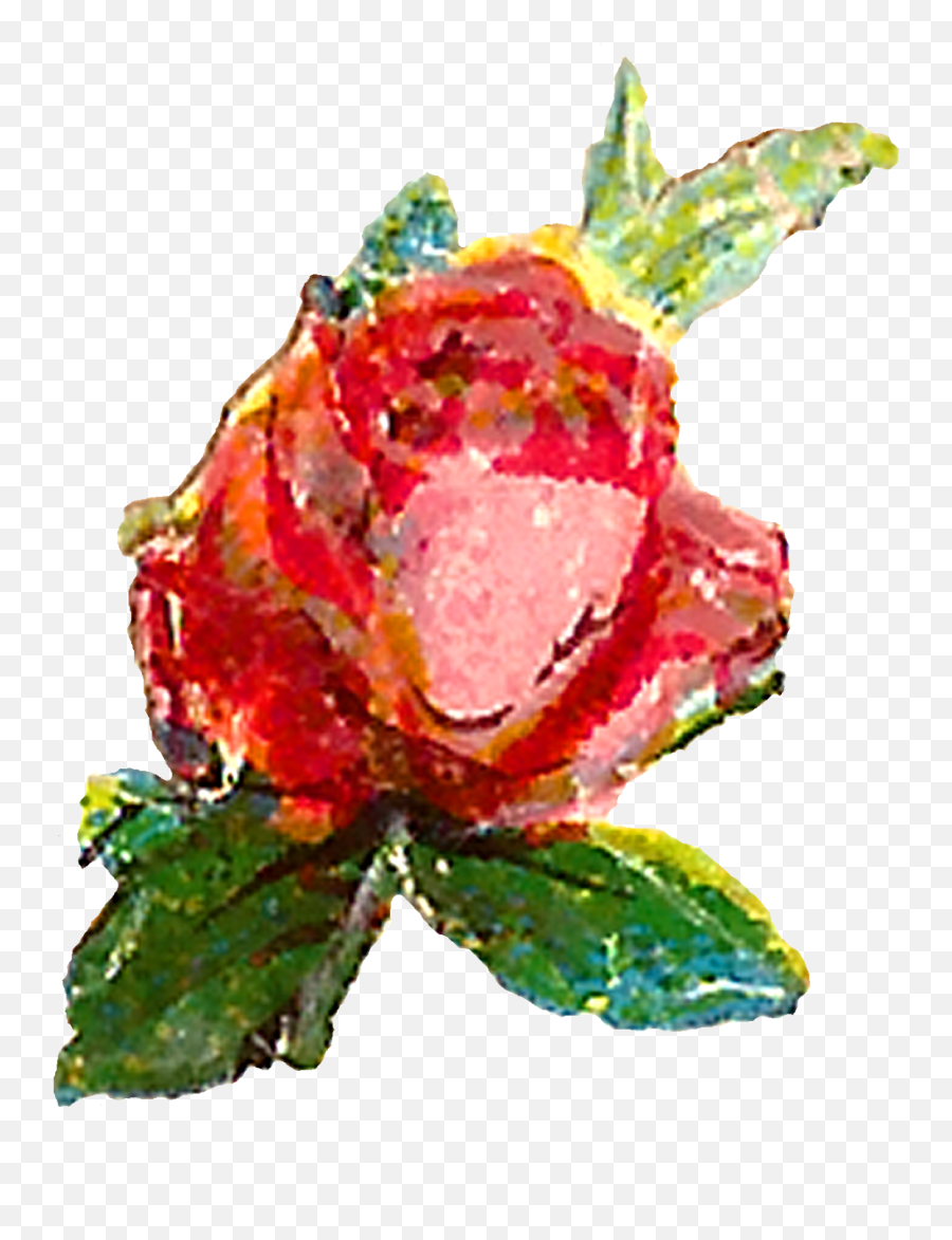 Download Hd The First Pink Rose Clip Art Is Of A Single Emoji,Single Flower Png