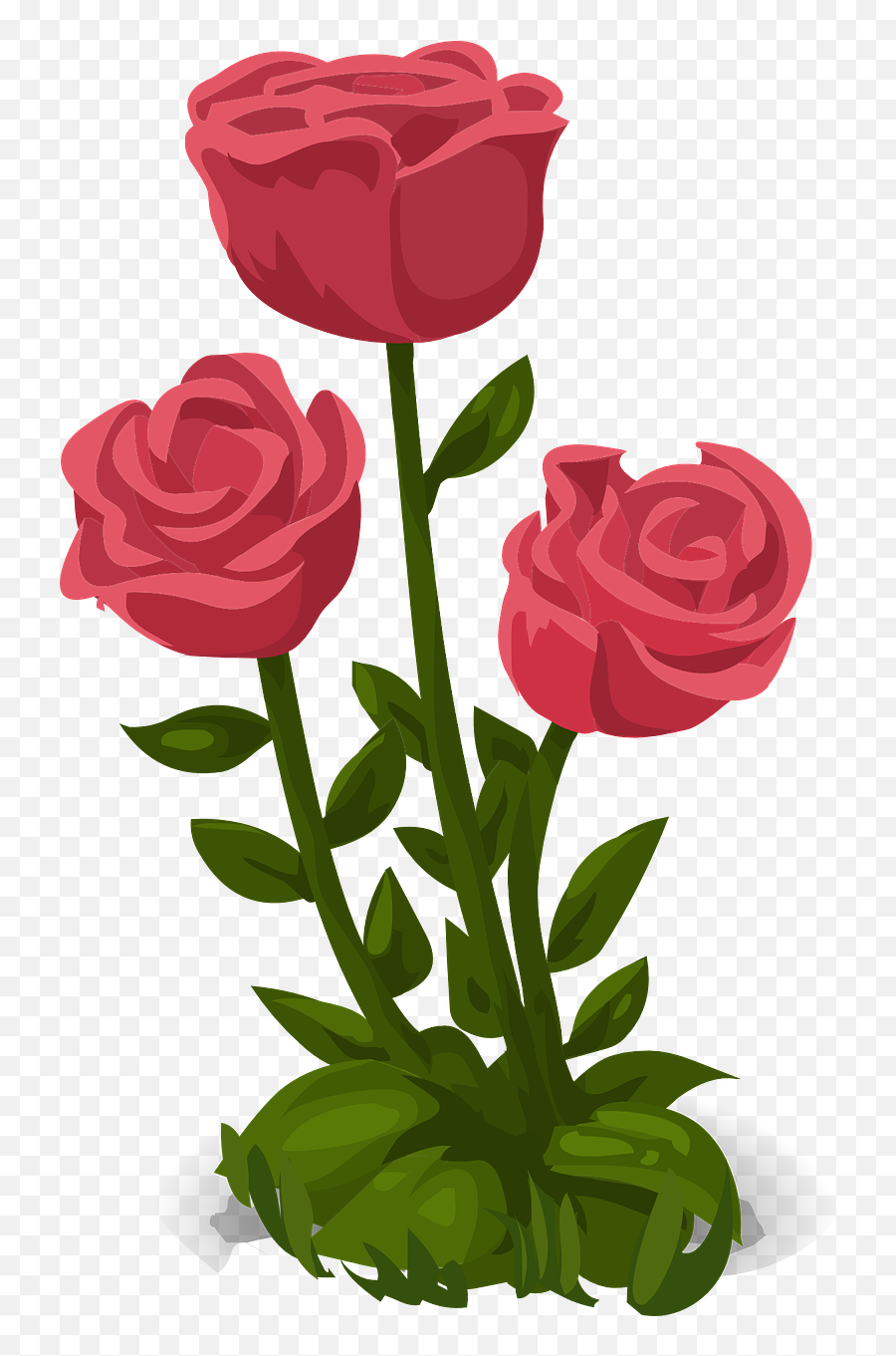 Roses Pink Flowers Floral Png Picpng - Rose Plant Images Clipart Emoji,Pink Flowers Png