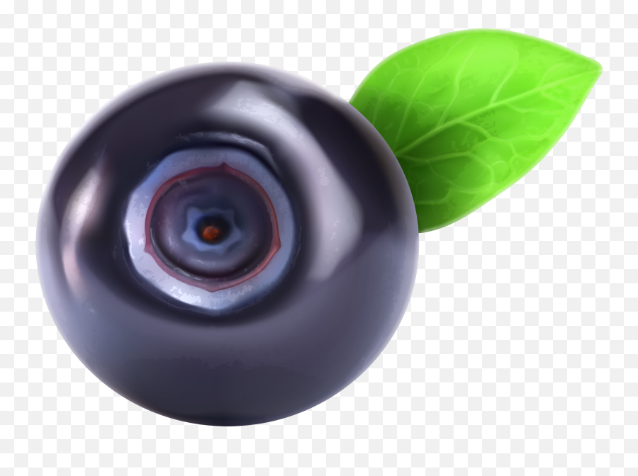 Blueberry Png Image - Single Blueberry Png Emoji,Blueberries Png