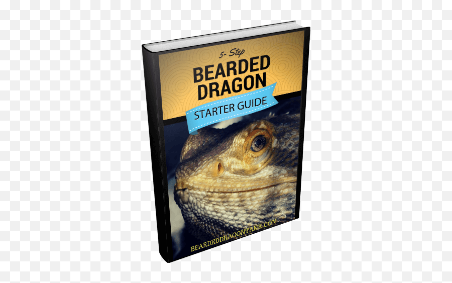 What Can Bearded Dragons Actually See Bearded Dragon Tank Emoji,Bearded Dragon Png