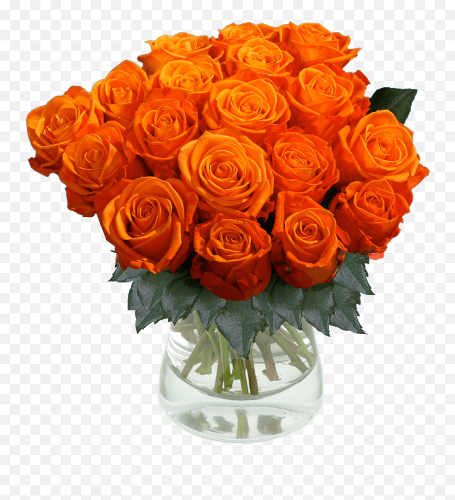 50 Orange Roses Flowers Emoji,Orange Flowers Png