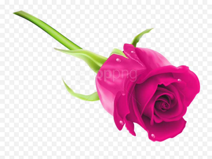 Free Png Download Pink Rose Png Images Emoji,Pink Roses Png