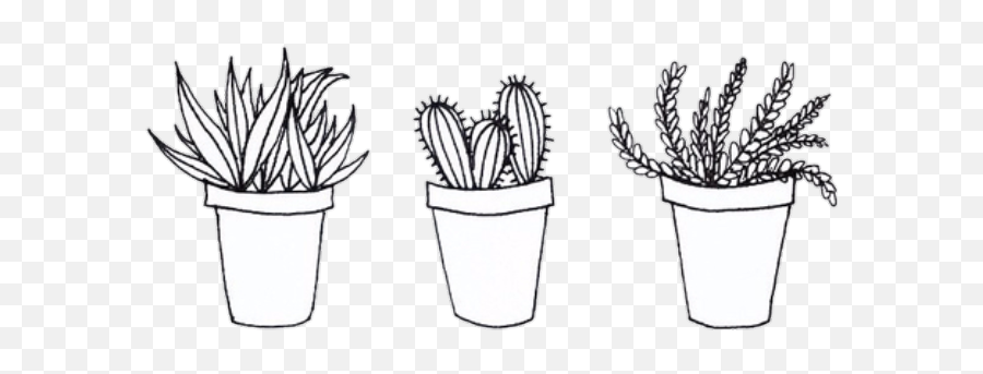 Cactus Png Tumblr - Aesthetic Cactus Drawing Png Emoji,Cactus Clipart Black And White