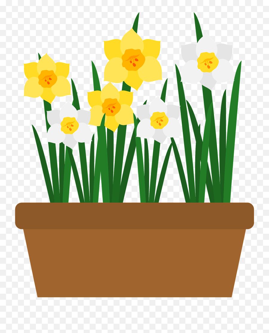 Narcissus Flower Clipart Free Download Transparent Png - Narcissus Flower Pot Clipart Emoji,Flower Pot Clipart
