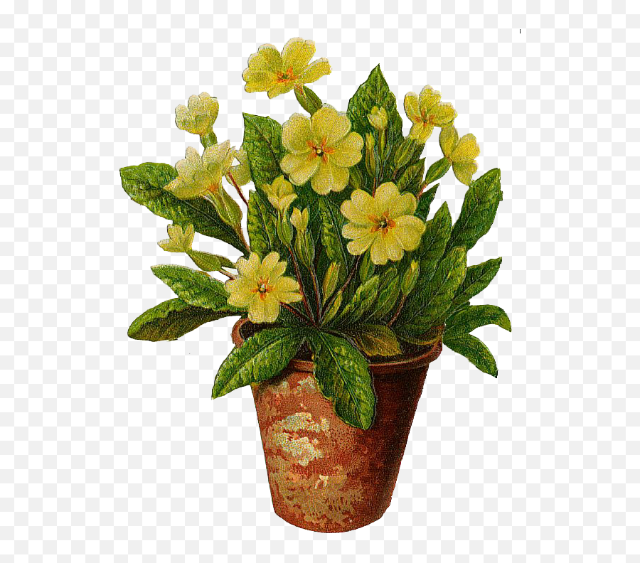 Flower Pot Clipart - Free Clip Art Images Clipartsco Flower Pots With Transparent Background Emoji,Pot Clipart