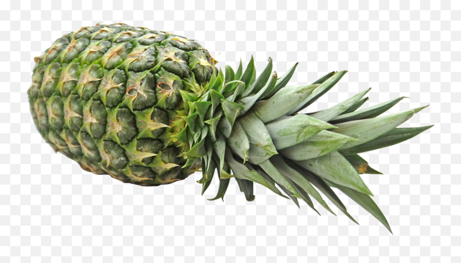 Pineapple Clipart - Pineapple Fruit Food Png Image Hd Png Pineapple Fruits Png Emoji,Pineapple Clipart