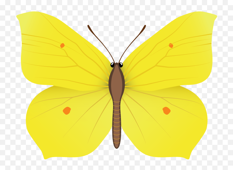 Yellow Butterfly Png Clipart Image Butterfly Clip Art - Yellow Butterfly Images Download Emoji,Butterfly Png