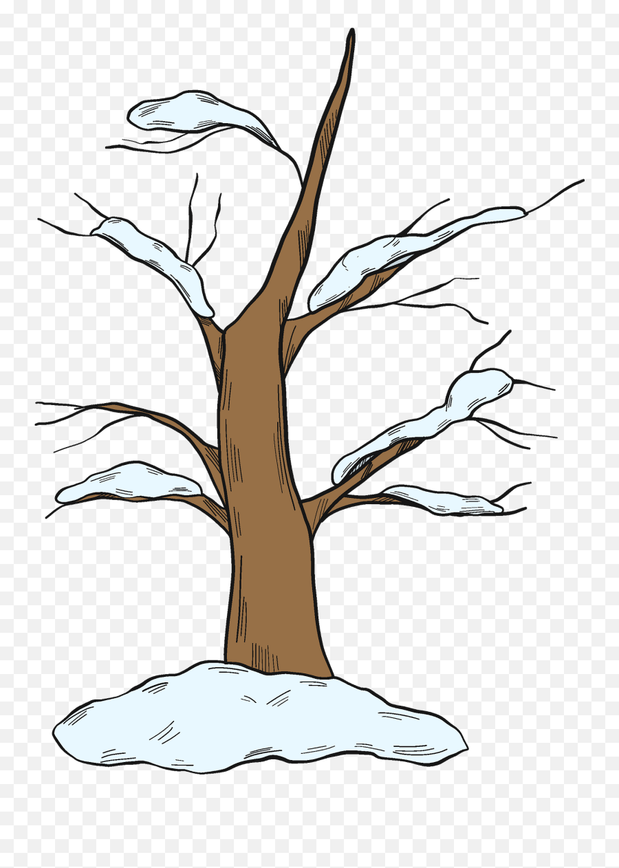 Winter Tree Clipart Free Download Transparent Png Creazilla - Winter Tree Clipart Emoji,Winter Scene Clipart