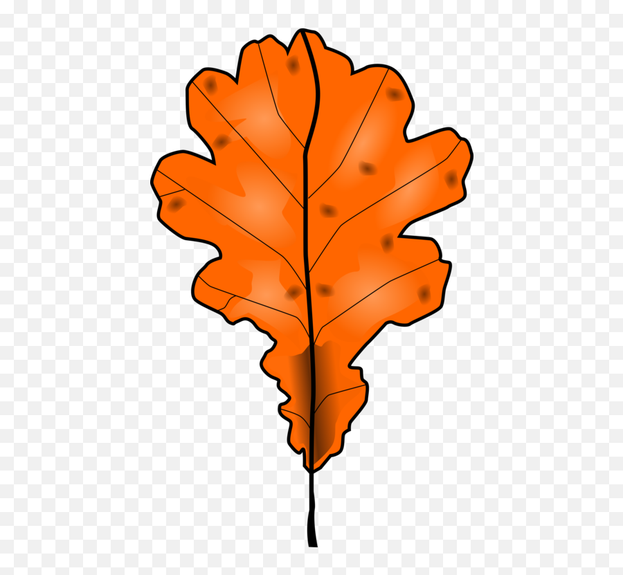 Plantleafmaple Leaf Png Clipart - Royalty Free Svg Png Dead Leaf Clipart Emoji,Fall Leaf Png