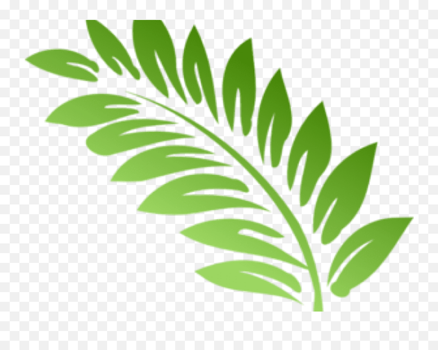 Download Fern Clipart Foliage - Fern Leaf Keychain Adult Transparent Fern Clipart Emoji,Adult Clipart