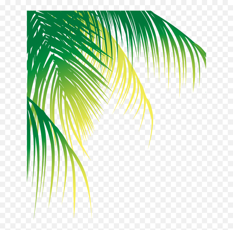 Palm Tree Border Png - Ftestickers Greenery Vector Coconut Leaves Png Emoji,Leaf Border Png