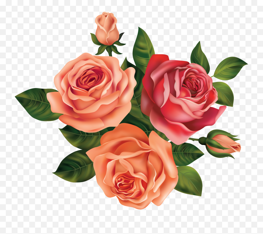Rose Clipart High Resolution Picture - Drawing Beautiful Rose Flowers Emoji,Rose Clipart