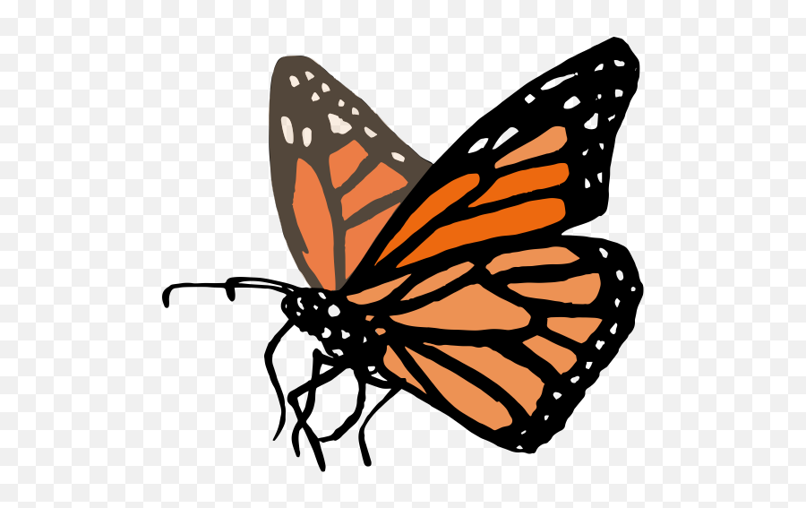 Wilderkids U2014 Creative Sorcery Emoji,Monarch Butterfly Png