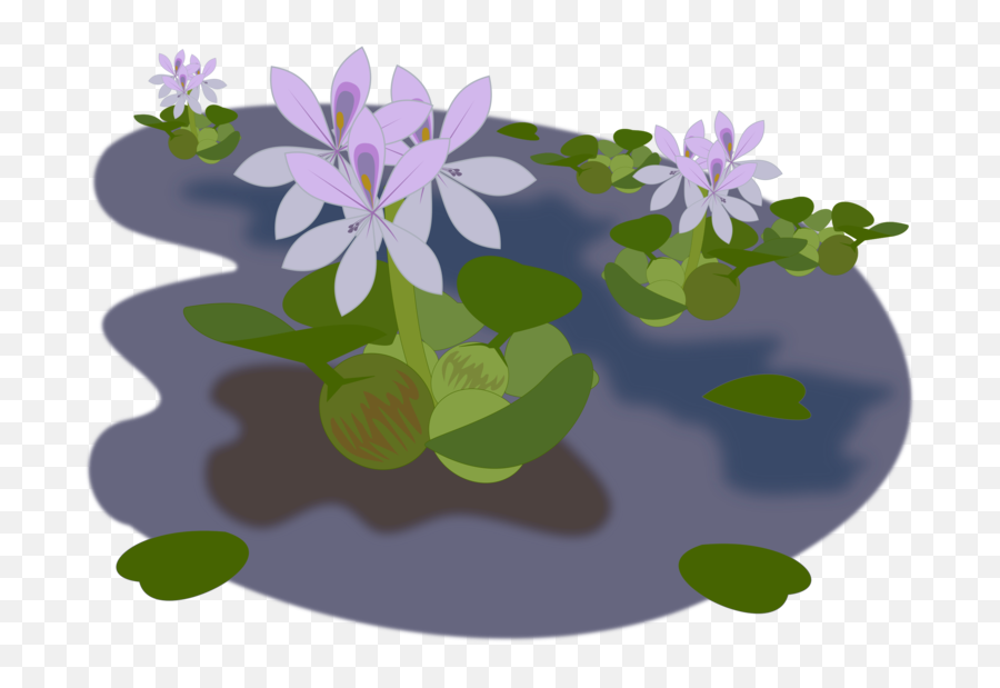 Plant Flower Lilac Png Clipart Emoji,Water Plants Clipart