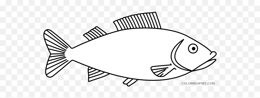 Fish Outline Coloring Pages Fish Outline 3 Clip Art Emoji,Oyster Clipart Black And White