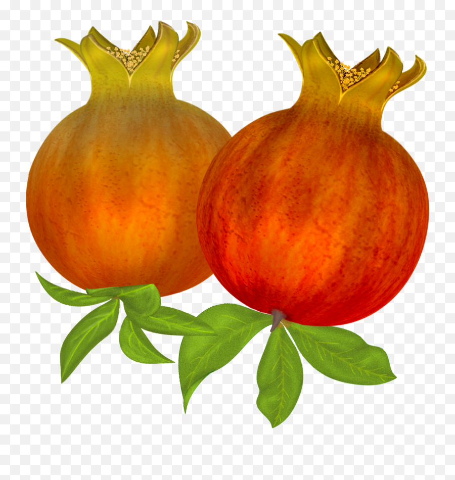 Image Stock Free Pomegranates Png Graphics Pinterest Emoji,Pomegranate Clipart