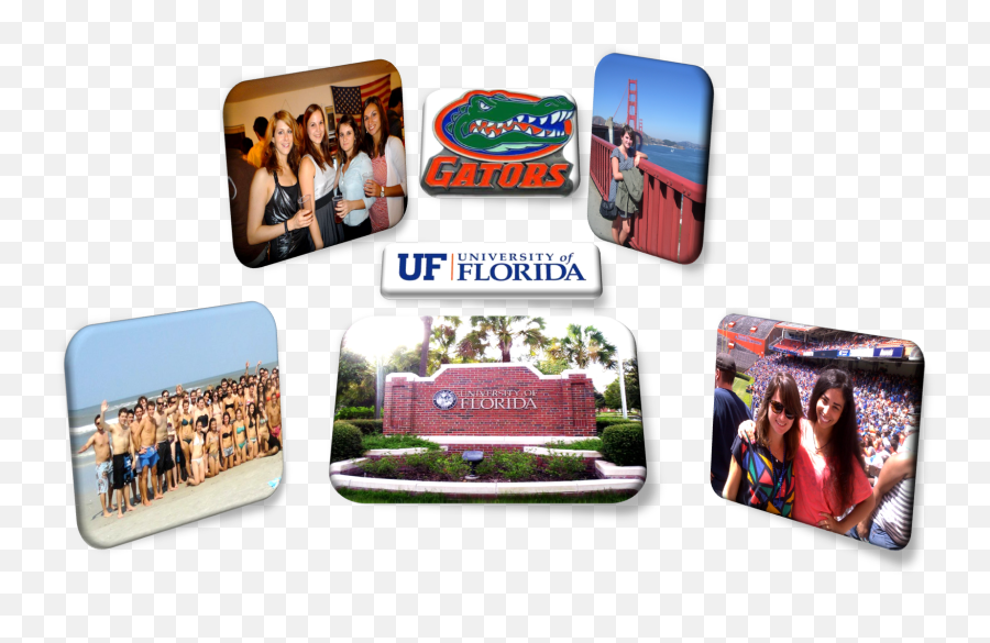 University Of Florida Globaled Emoji,University Of Florida Png