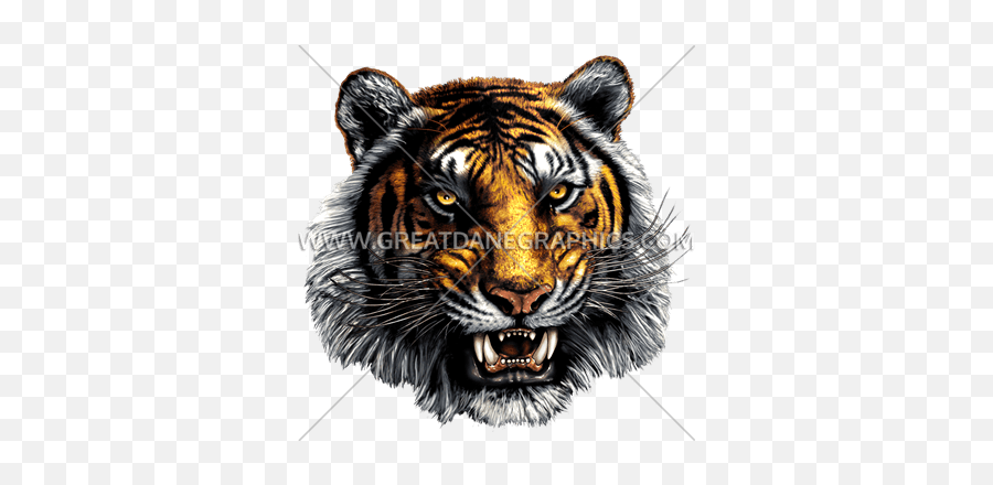 Tiger Mascot Head Production Ready Artwork For T - Shirt Emoji,Tiger Head Png