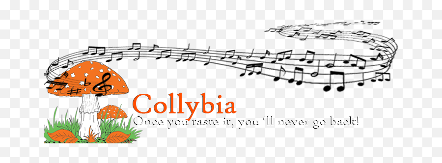 Collybia Os - Collybia Columbia Bank Emoji,Aesthetic Spotify Logo