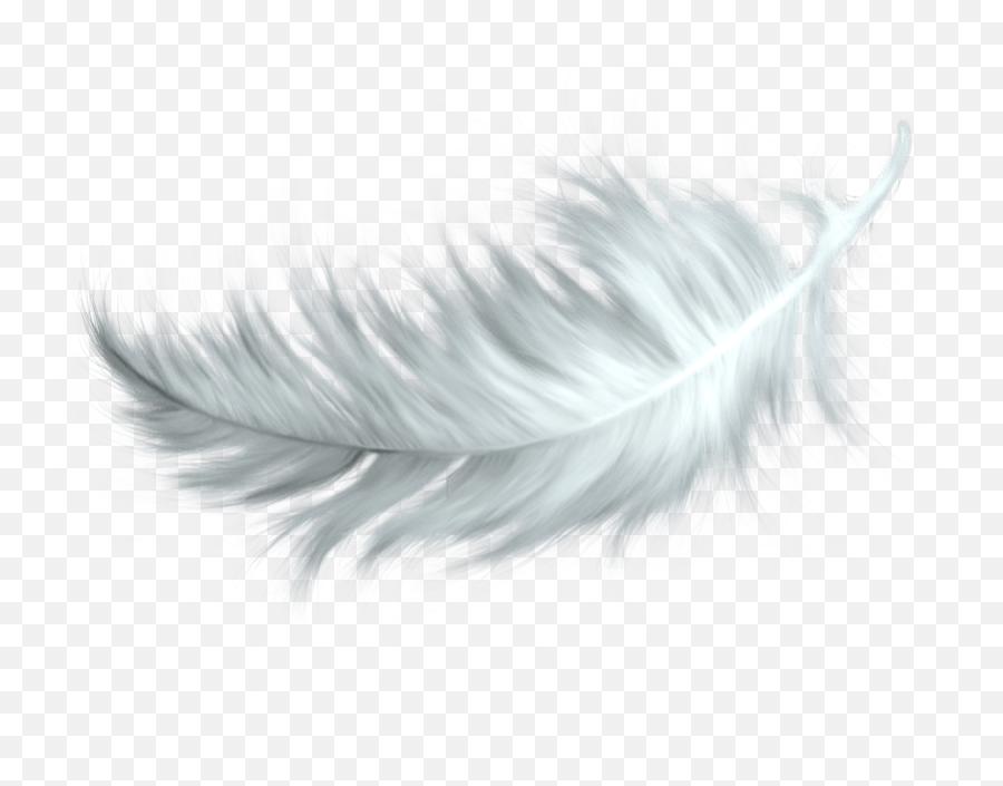 White Feather Transparent Png Emoji,Feather Clipart Black And White