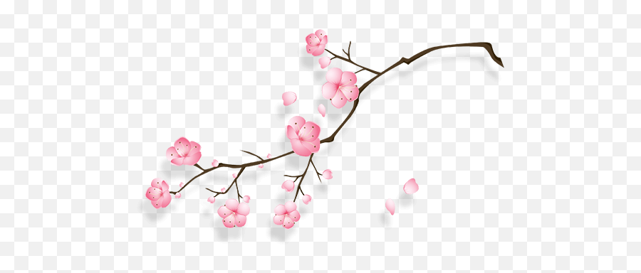 Hd Cherry Blossom Transparent Png Image - Sakura Flower Cny Transparent Background Emoji,Cherry Blossom Png