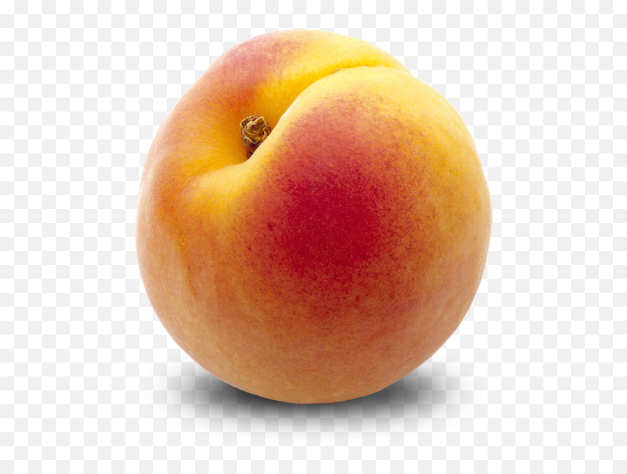 Peach Peaches Png Transparent Background Free Download - Peache Png Emoji,Peach Png