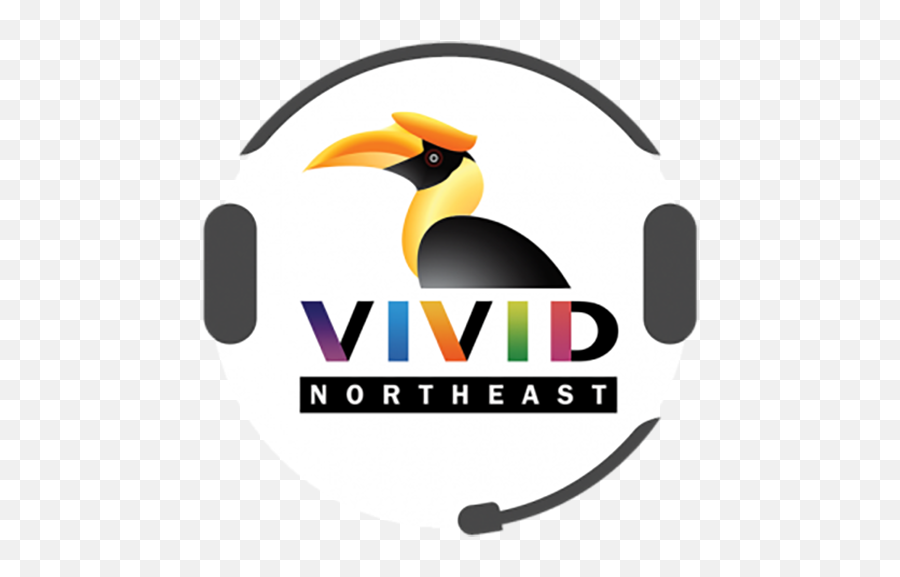 Vivid Northeast Group - Umbrella Solution With Ground Emoji,Vivid Logo