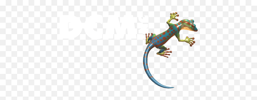 Dcm - Animal Figure Emoji,Lizard Logo