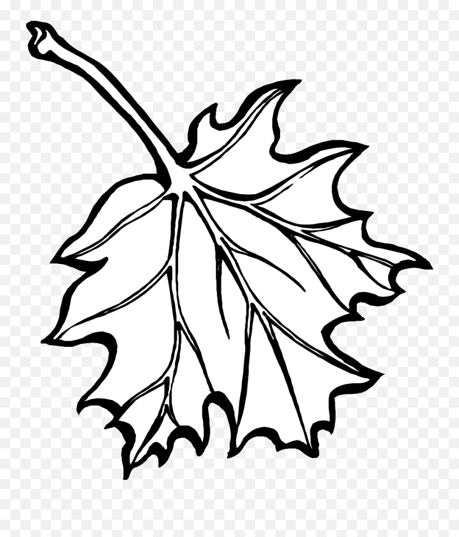Maple - Leaves Coloring Pages Fall Leaves Coloring Oaktree Leaf Coloring Page Emoji,Maple Leaf Clipart Black And White