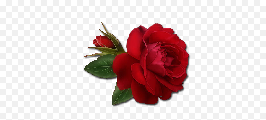 Red Rose Clipart Single Object - Rose Png Transparent Rose Flower Animated Emoji,Rose Clipart