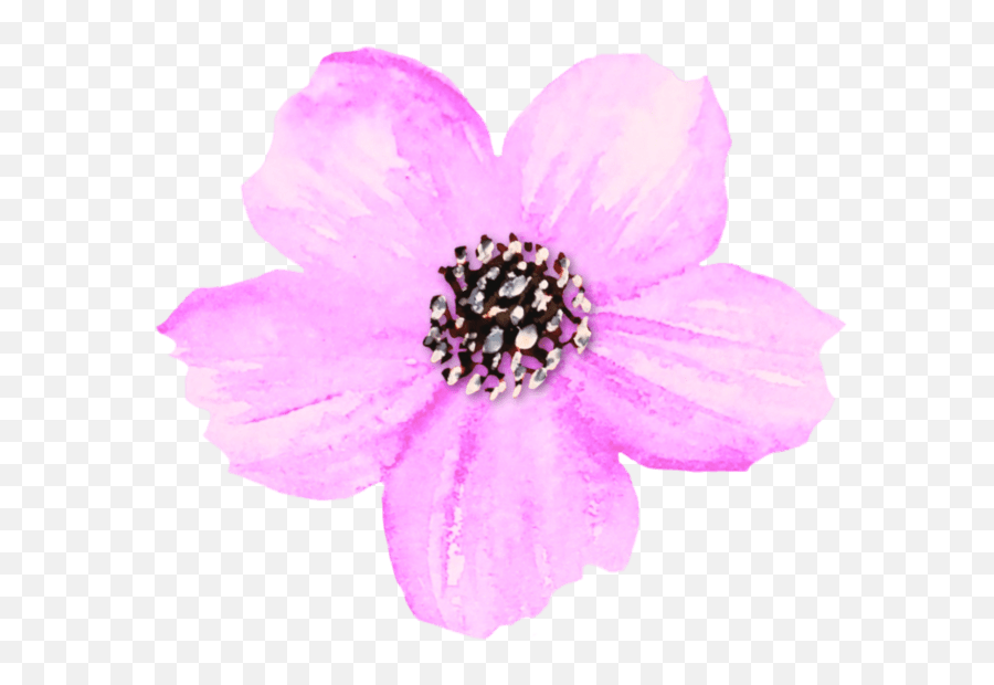 Lavender Watercolor Flower Clip Art U2013 Mckinley Design Co Emoji,Watercolor Flowers Clipart
